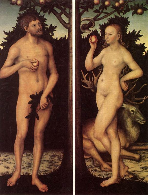 CRANACH, Lucas the Elder Adam and Eve 03 oil painting image